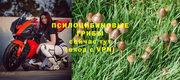 ПСИЛОЦИБИНОВЫЕ ГРИБЫ Абинск