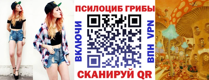 Псилоцибиновые грибы Magic Shrooms  магазин продажи   Питкяранта 