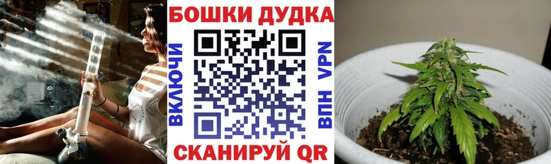 Канабис SATIVA & INDICA  Питкяранта 